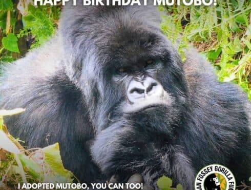 Happy Birthday Mutobo!